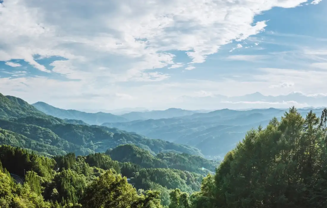 わたしたちについて